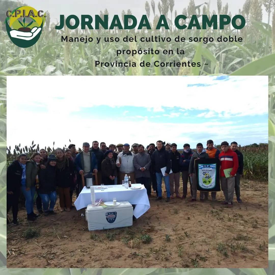 jornada-campo-1.jpg